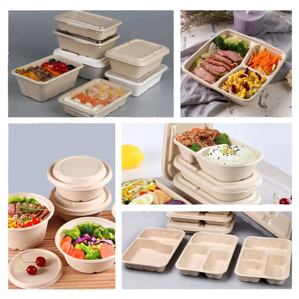 Disposable Tableware Custom Logo Printed 500ml 700ml 800ml 1000ml Paper Food Containers Biodegradable Sugar Cane Bagasse Lunch Box